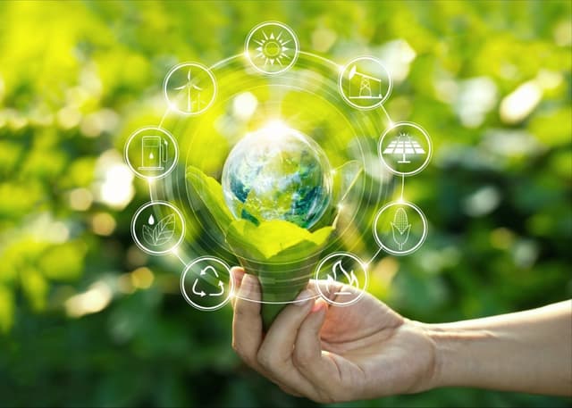 https://api.greenbusinessplatform.org/storage/images/mitaps/2025/07/21/687dca3071c27.jpg